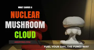 Unveiling the Science Behind Nuclear Mushroom Cloud Formation