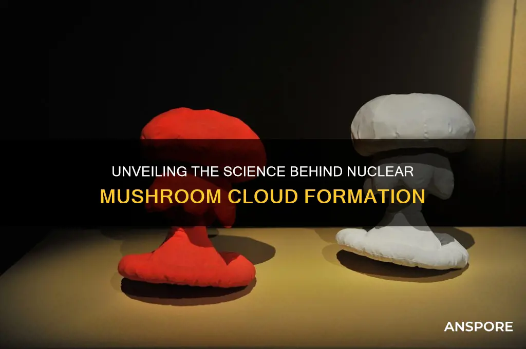 what causes a nuclear mushroom cloud