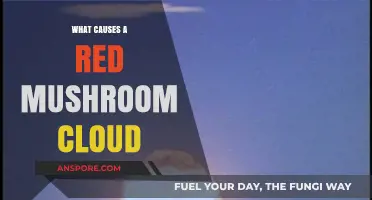 Unveiling the Science Behind Red Mushroom Clouds: Causes Explained