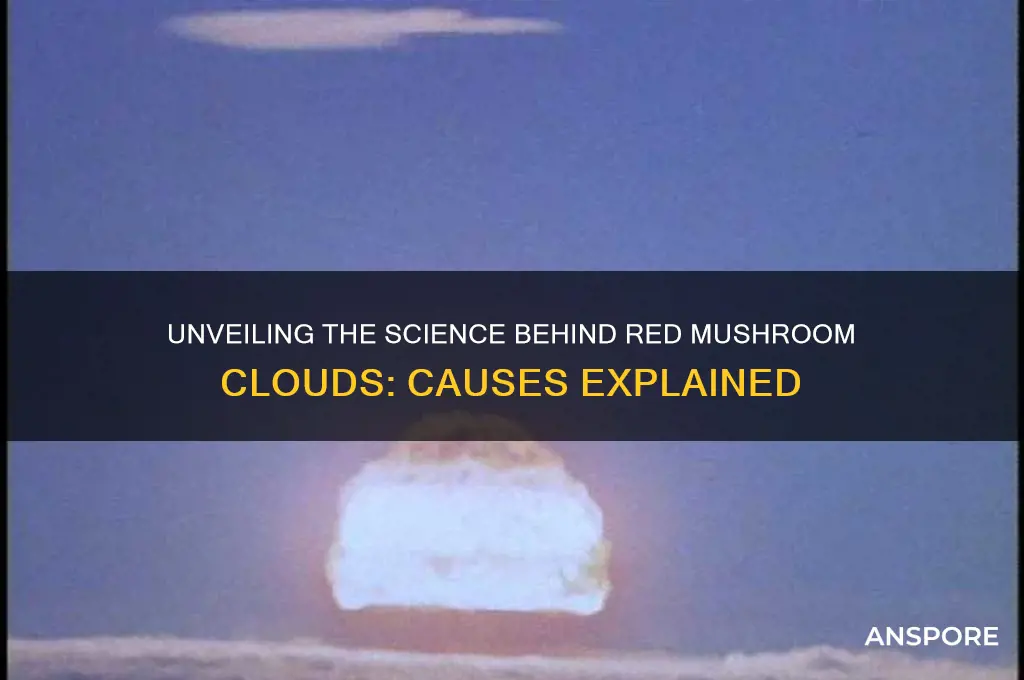 what causes a red mushroom cloud
