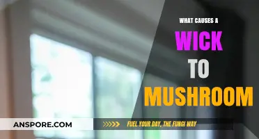 Why Wicks Mushroom: Understanding the Science Behind Candle Flame Shapes