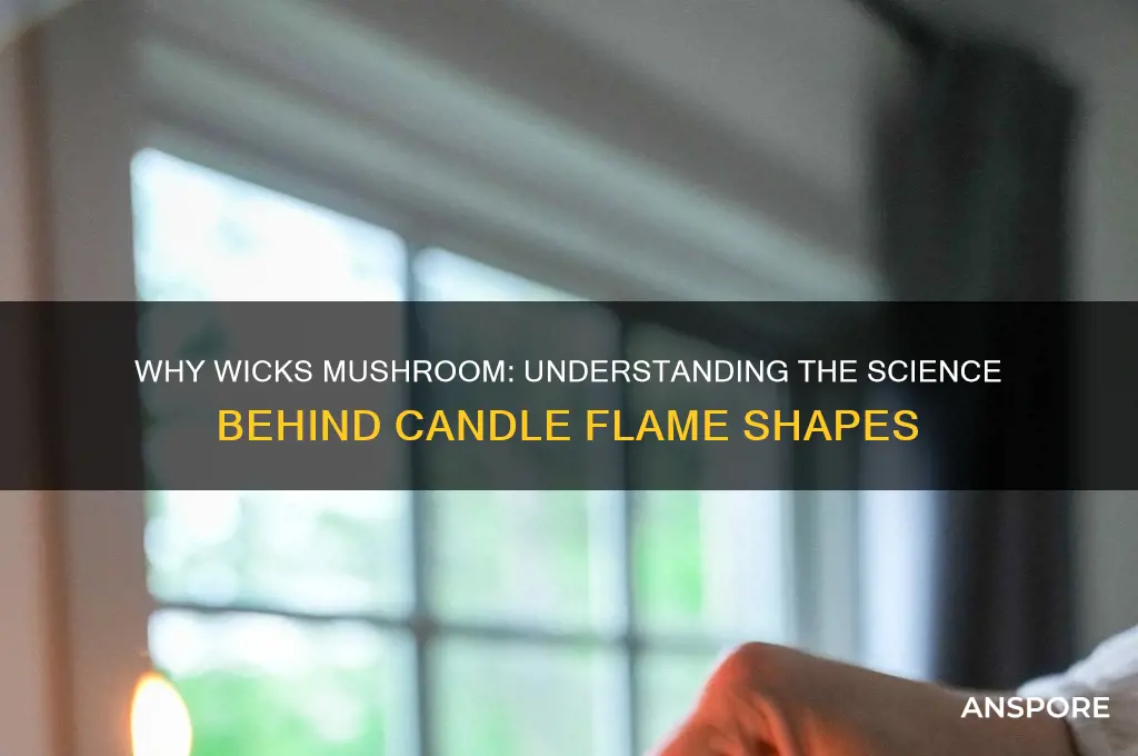 what causes a wick to mushroom