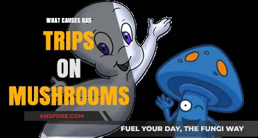 Unraveling the Factors Behind Unpleasant Psychedelic Mushroom Experiences