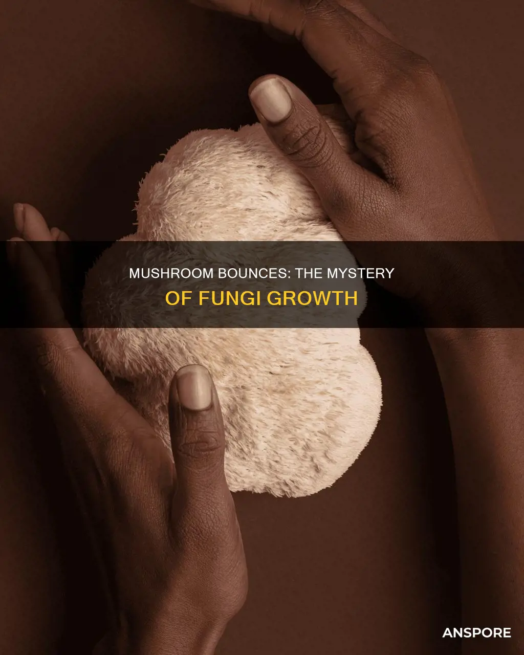 what causes bounces in mushrooms