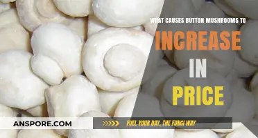 Rising Costs: Unraveling the Factors Behind Button Mushroom Price Hikes