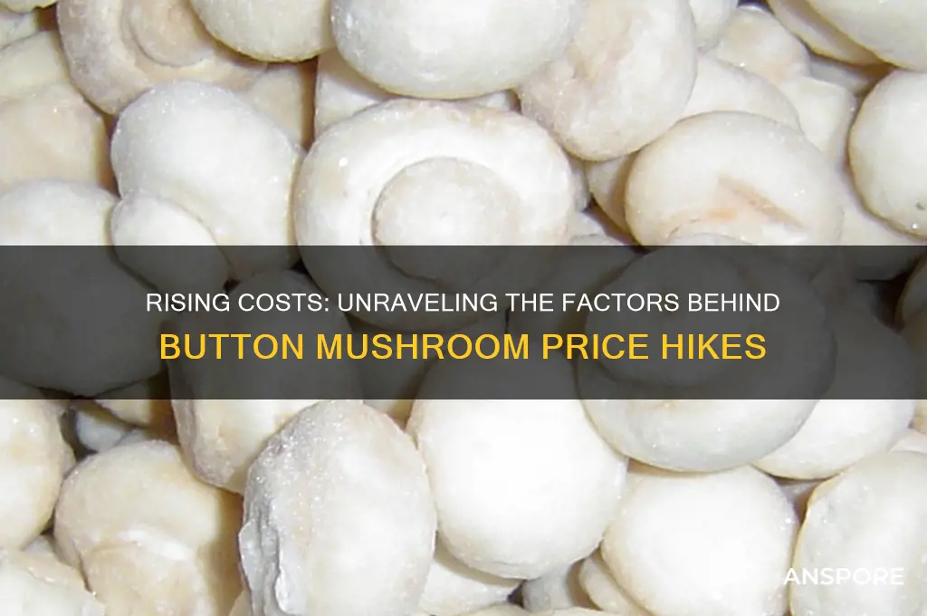 what causes button mushrooms to increase in price