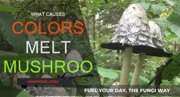 The Mystery Behind Mushrooms' Color-Changing Ability