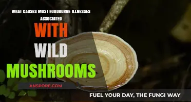 Wild Mushroom Risks: Common Causes of Foodborne Illnesses Explained