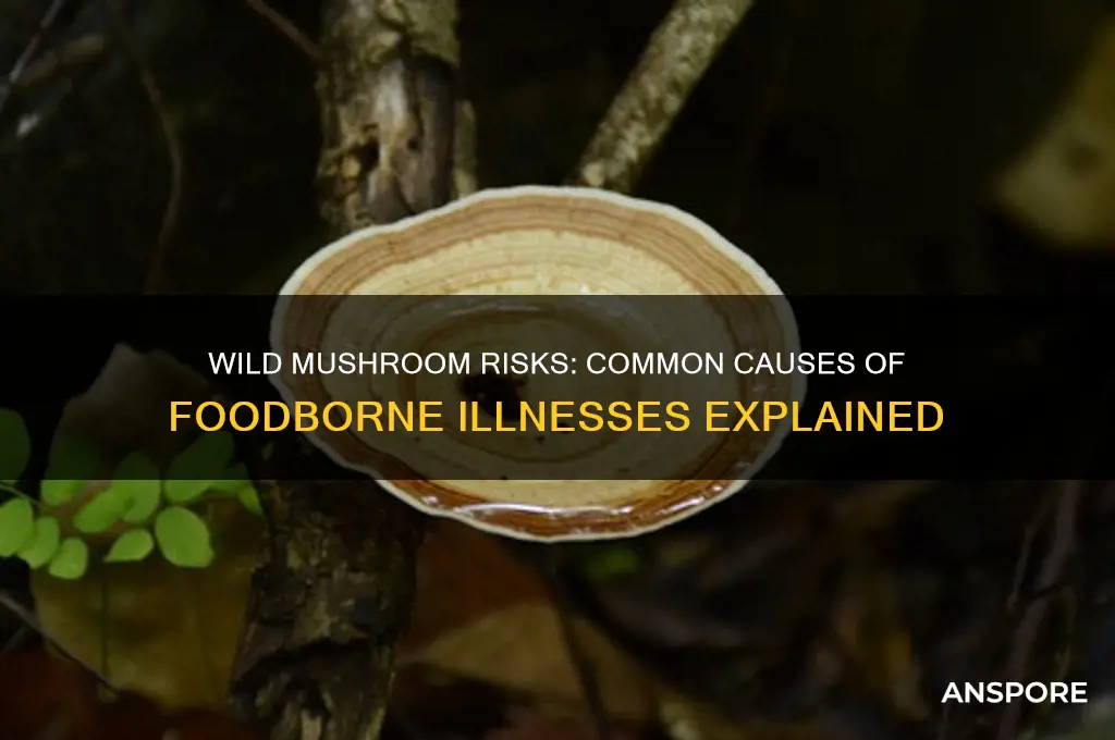 what causes most foodborne illnesses associated with wild mushrooms