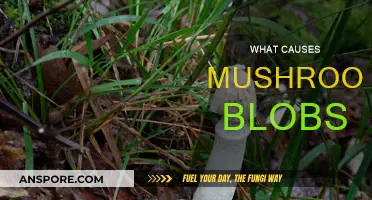 Mushroom Blobs: Unveiling the Fungal Mystery