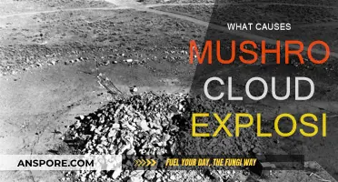 How Mushroom Clouds Form and Why They're Deadly