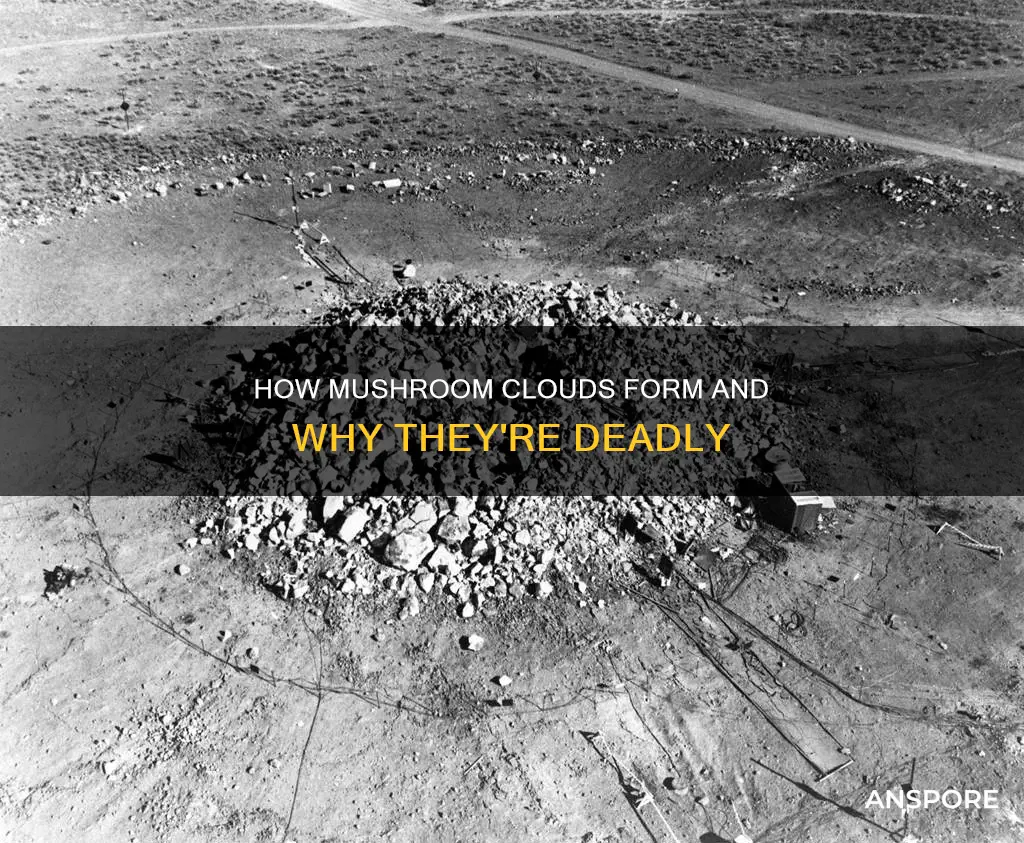 what causes mushroom cloud explosion