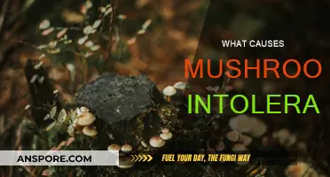 Mushroom Intolerance: Understanding Triggers and Reactions