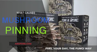 Mushroom Pinning: What Are the Main Causes?