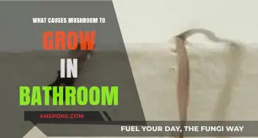 Why Mushrooms Thrive in Bathrooms: Causes and Prevention Tips