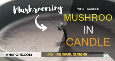 Candle Mushrooming: Causes and Prevention Tips