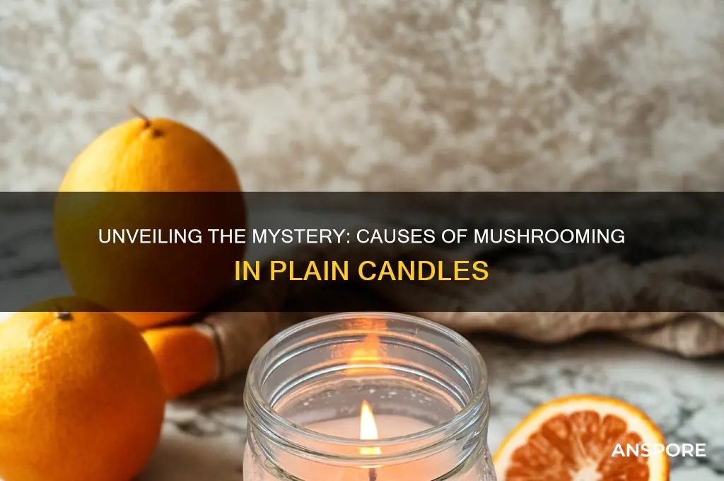 what causes mushrooming in unscented uncolored candles