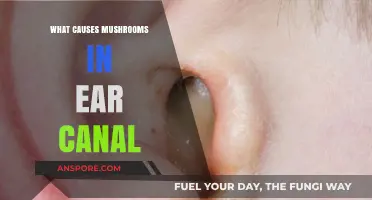 Unusual Ear Infections: Understanding Causes of Fungal Growth in Ear Canals