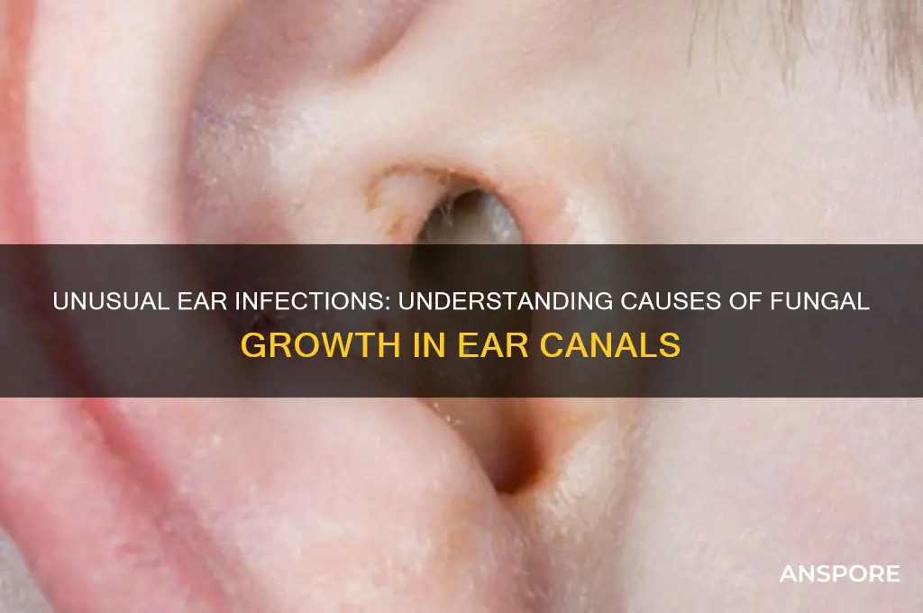 what causes mushrooms in ear canal
