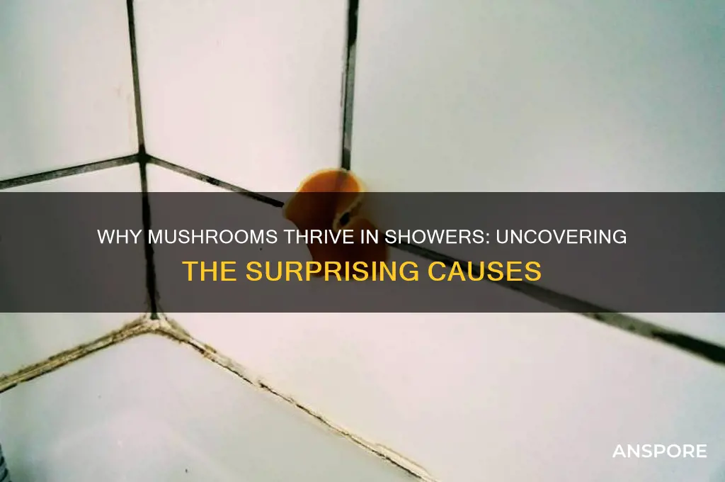what causes mushrooms to grow in the shower