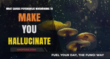 Unveiling the Science Behind Psychedelic Mushrooms and Hallucinations