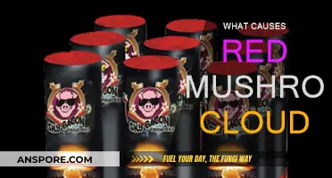 How Red Mushroom Clouds Form