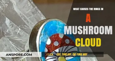 Unveiling the Science Behind Mushroom Cloud Rings: Causes Explained