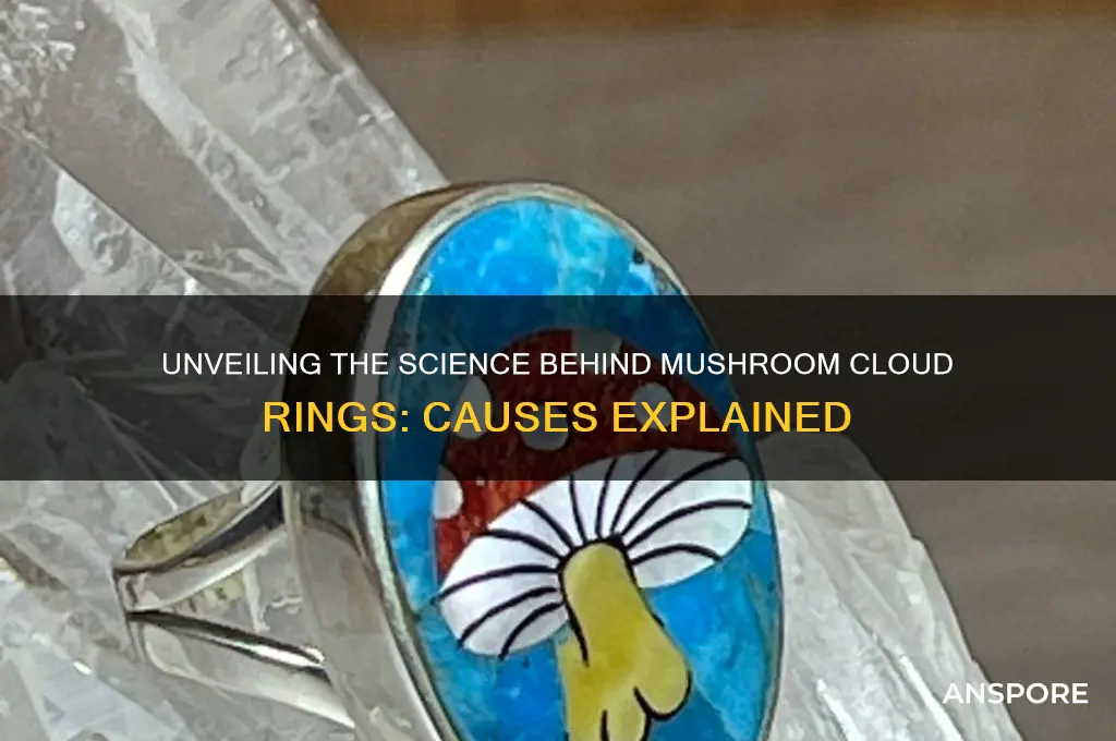 what causes the rings in a mushroom cloud