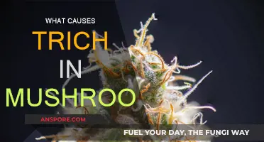 Mushroom Woes: Trich and Its Causes