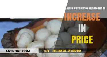 Rising Costs: Uncovering Factors Behind White Button Mushroom Price Hikes