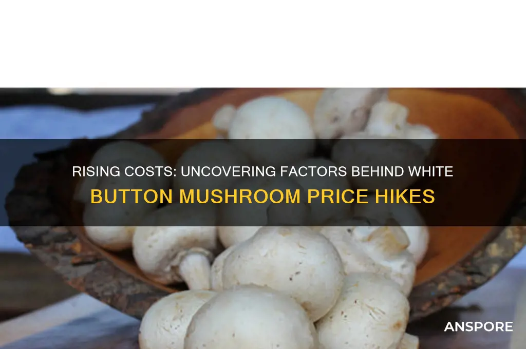 what causes white button mushrooms to increase in price