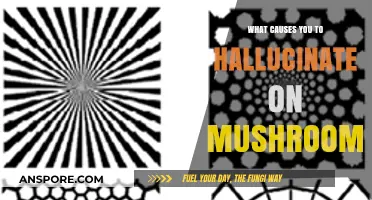 Unveiling the Psychedelic Mystery: Why Mushrooms Induce Hallucinations