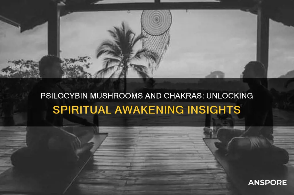 what chakra do psilocybin mushrooms open