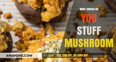 Delicious Stuffed Mushroom Recipes: Best Cheeses to Elevate Your Dish