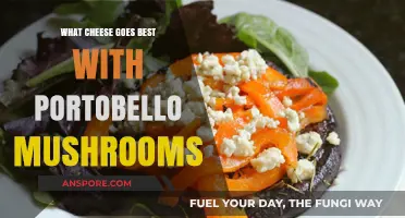 Perfect Pairing: Top Cheeses to Elevate Your Portobello Mushroom Dishes