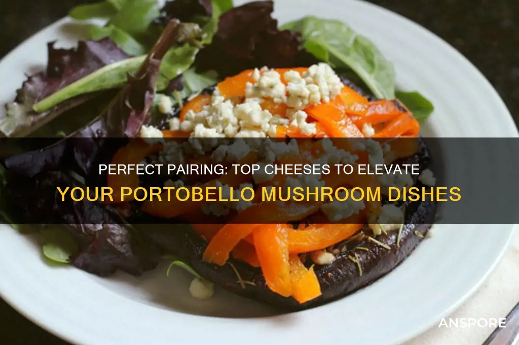what cheese goes best with portobello mushrooms