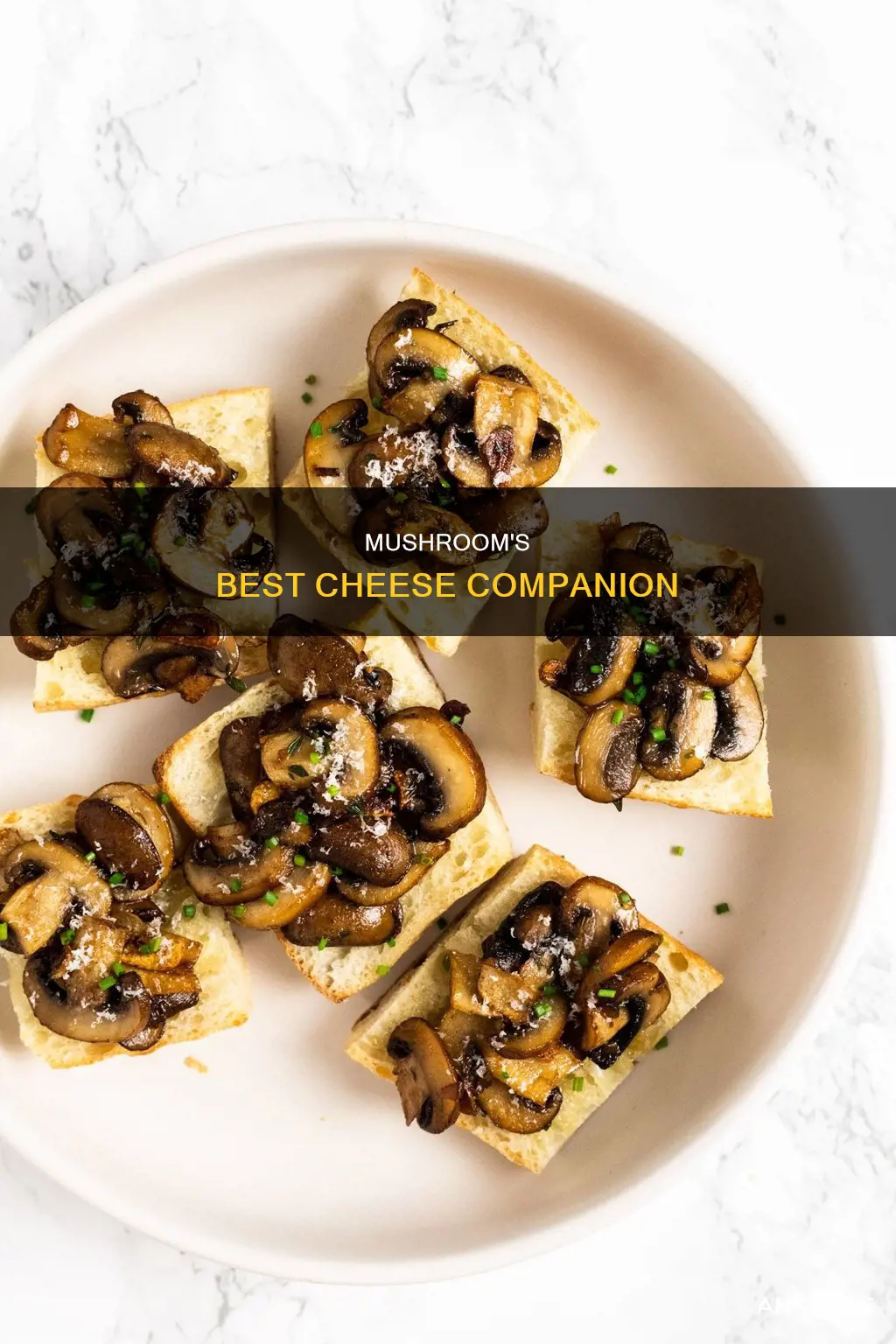 what cheese goes with mushroom