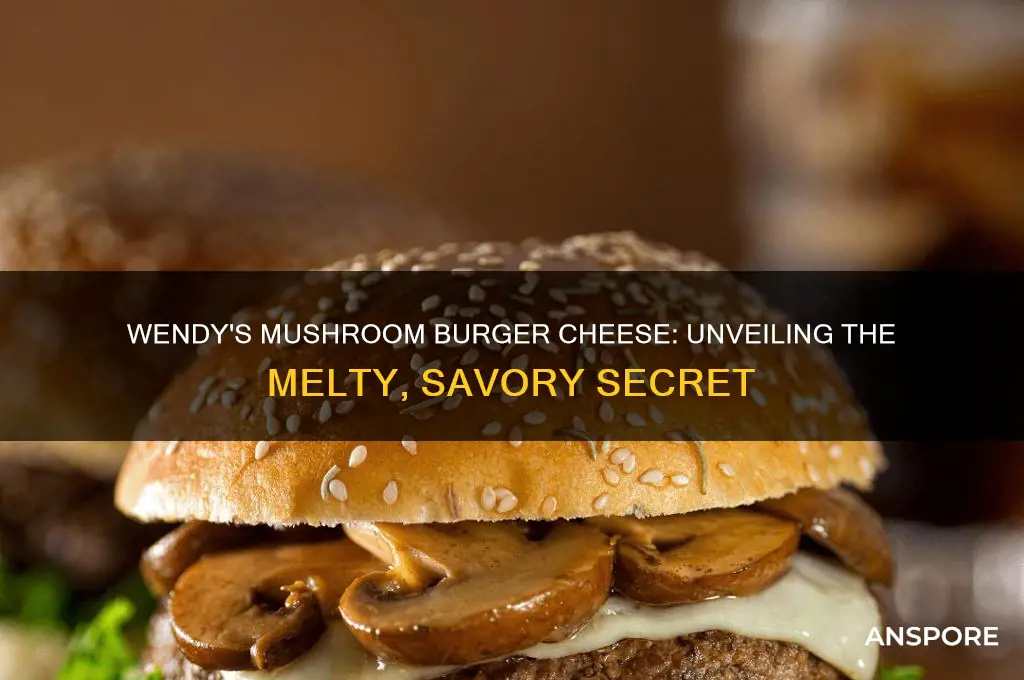 what cheese is on wendy
