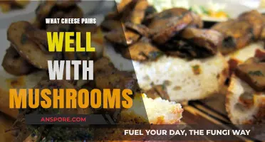 Mushroom and Cheese Harmony: Perfect Pairings for Savory Delights