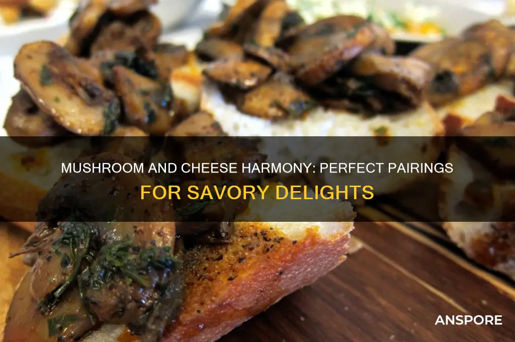 what cheese pairs well with mushrooms