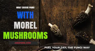 Perfect Pairings: Best Cheeses to Complement Morel Mushrooms' Earthy Flavor