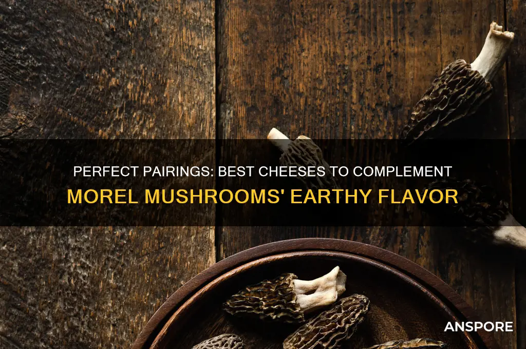 what cheese pairs with morel mushrooms