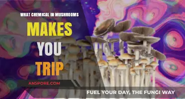 Unveiling Psilocybin: The Psychedelic Compound Behind Mushroom Trips