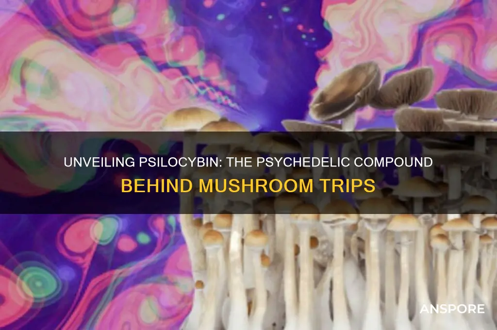 what chemical in mushrooms makes you trip