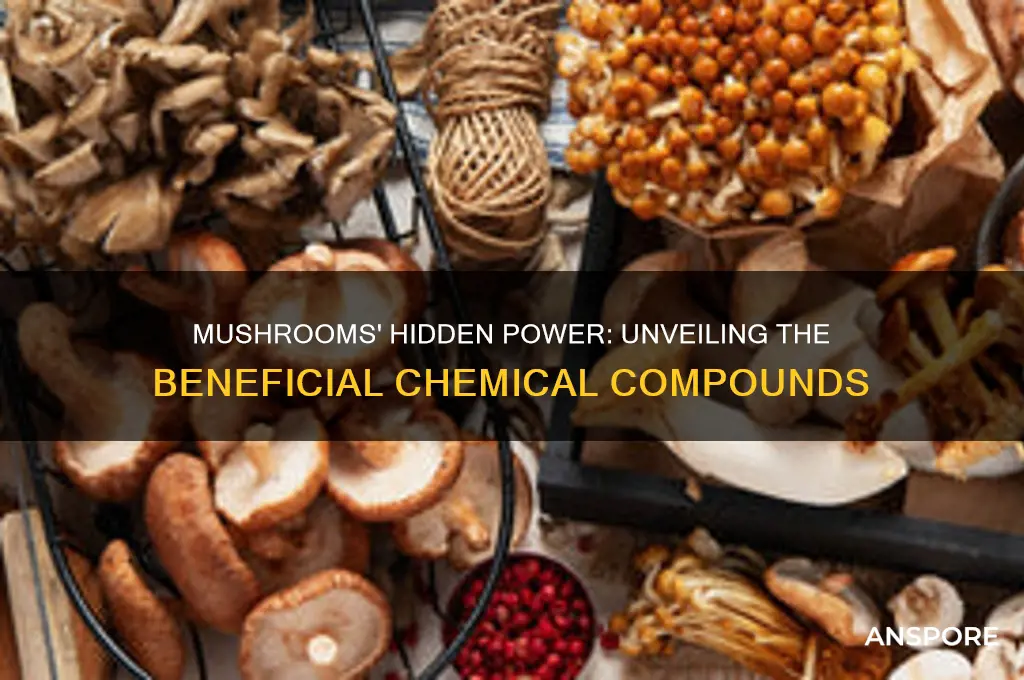 what chemical is beneficial in mushrooms
