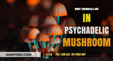 Unveiling the Psychedelic Chemistry: Exploring Mushrooms' Mind-Altering Compounds