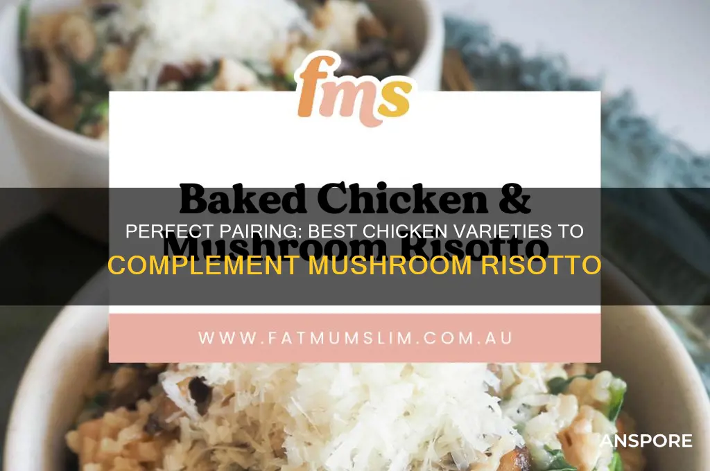what chicken goes with mushroom risotto