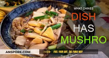 Mushroom Delights in Chinese Cuisine