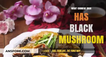 Discovering Chinese Dishes Featuring Black Mushrooms: A Culinary Journey