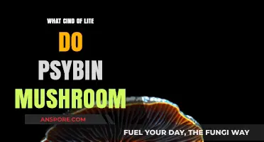 Exploring the Unique Light Sensitivity of Psilocybin Mushrooms